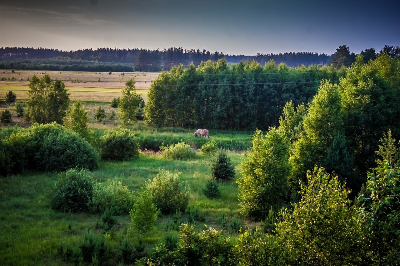 Отель Hotel Albatros Serwy